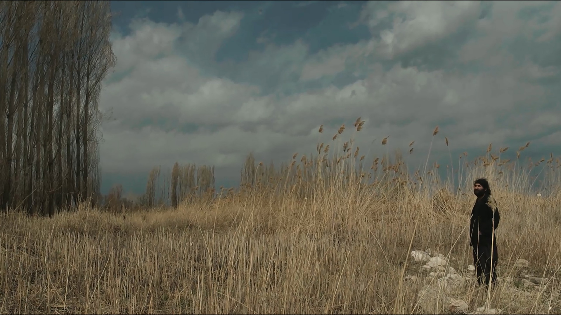 DOCUMENTARIST <br>18. İstanbul Belgesel Günleri12